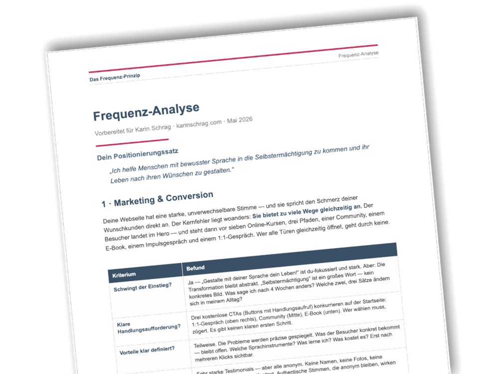 Beispiel einer echten Frequenz-Analyse: Positionierungssatz, Marketing- und Conversion-Befunde als Dokument